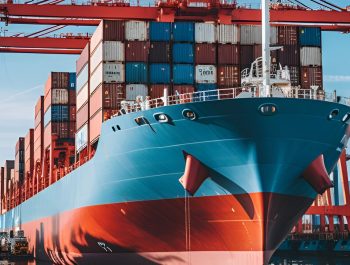 WhatsApp Image 2025-06-05 at 3.11.42 PM