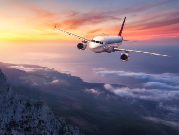 WhatsApp Image 2025-06-11 at 11.19.50 AM